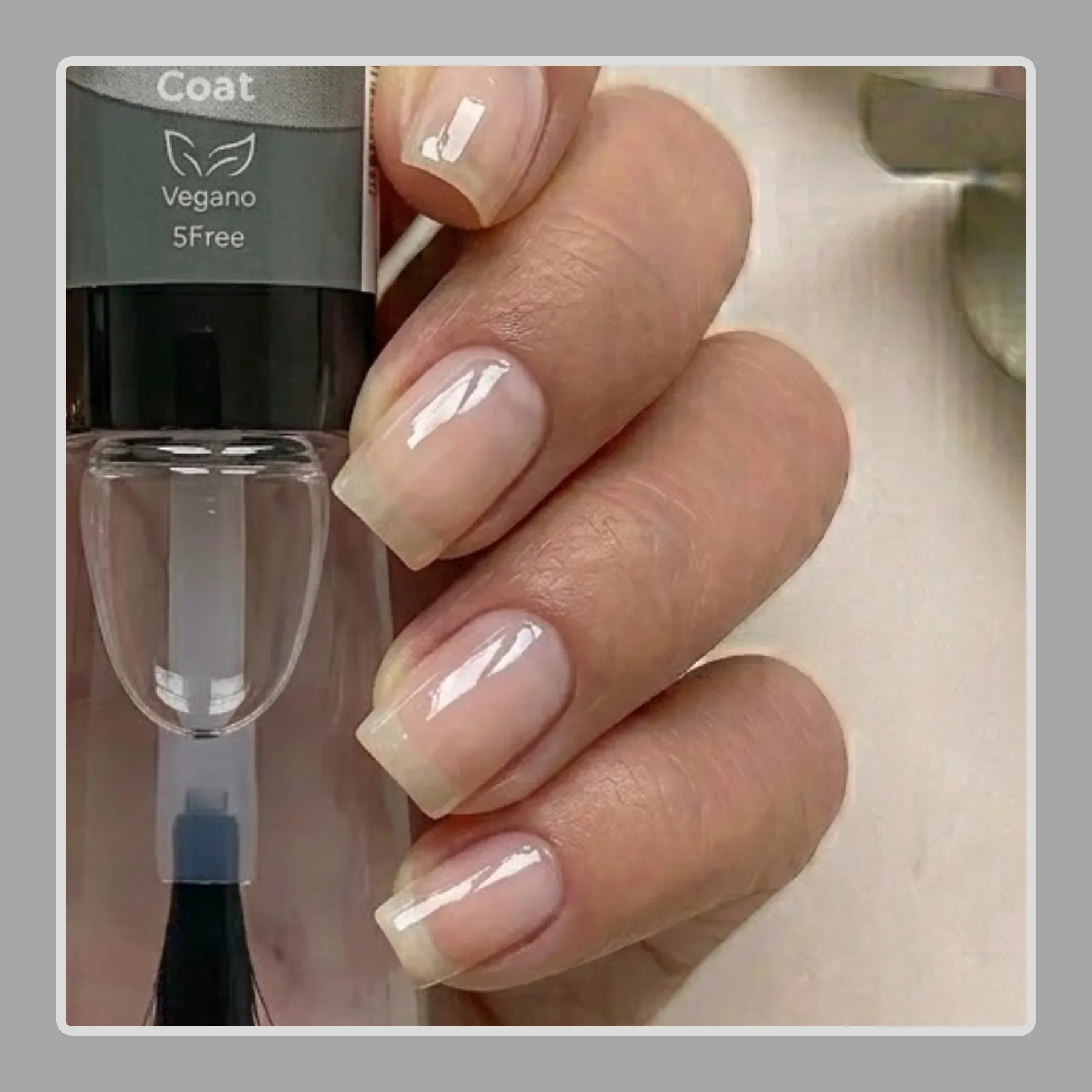 TOP COAT -3-